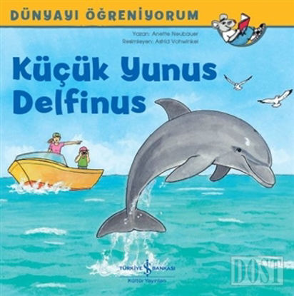 Küçük Yunus Delfinus